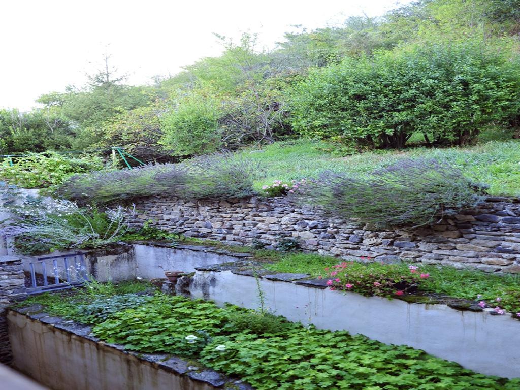 Hotel La Bougnate Blesle Dış mekan fotoğraf