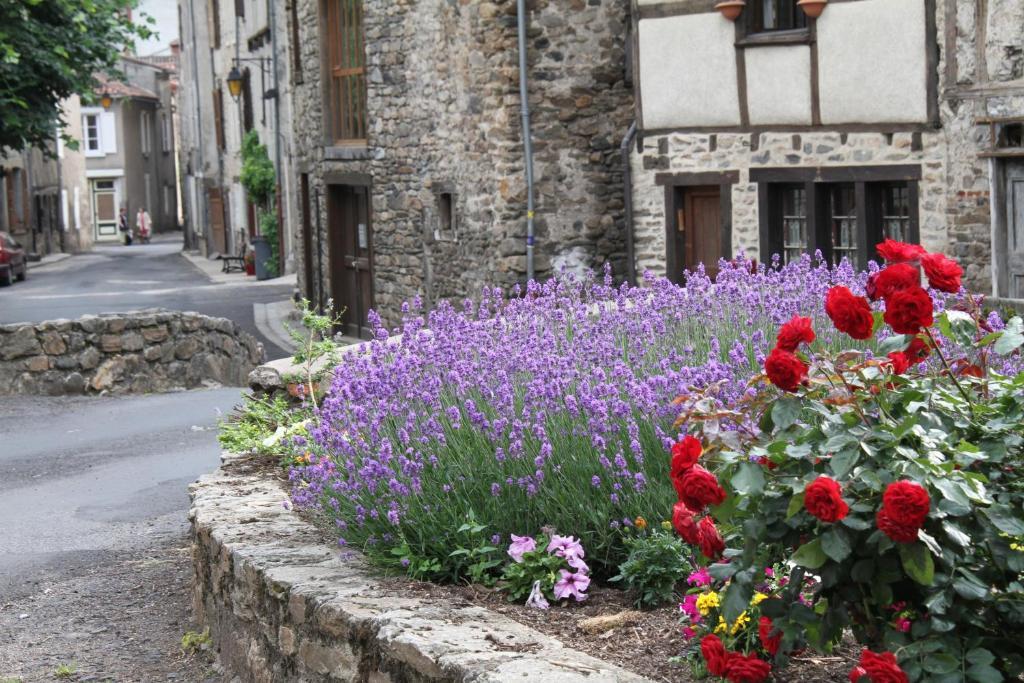 Hotel La Bougnate Blesle Dış mekan fotoğraf